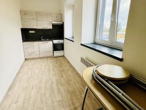 Pronájem bytu 2+kk, Opava - Předměstí, Rybářská, 30 m2