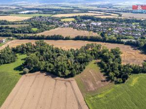 Prodej lesa, Horka nad Moravou, 2252 m2