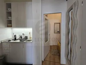 Pronájem bytu 2+kk, Praha - Vinohrady, Šafaříkova, 39 m2