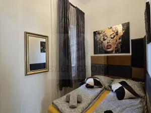 Pronájem bytu 2+kk, Praha - Vinohrady, Šafaříkova, 39 m2