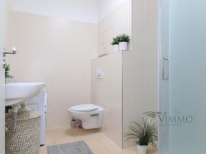 Pronájem bytu 1+kk, České Budějovice - České Budějovice 2, Volejbalistů, 35 m2