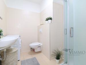 Pronájem bytu 1+kk, České Budějovice - České Budějovice 2, Volejbalistů, 35 m2