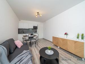 Pronájem bytu 1+kk, Olomouc, Frištenského, 32 m2