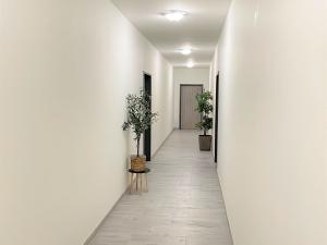 Pronájem bytu 2+kk, Borovany - Trocnov, 50 m2