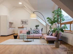 Prodej bytu 2+kk, Třebíč - Vnitřní Město, Karlovo nám., 116 m2