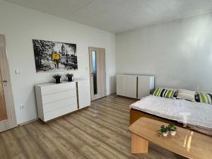 Pronájem bytu 1+1, Boskovice, Otakara Kubína, 44 m2