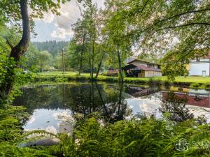 Prodej rodinného domu, Sokolov - Vítkov, 317 m2