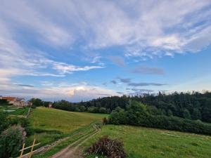 Prodej pozemku pro bydlení, Vyšehořovice, 905 m2