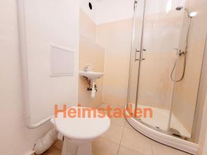 Pronájem bytu 1+kk, Havířov - Město, Hlavní třída, 21 m2