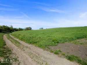 Prodej komerčního pozemku, Němčany, 9887 m2