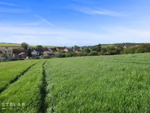 Prodej komerčního pozemku, Němčany, 9887 m2