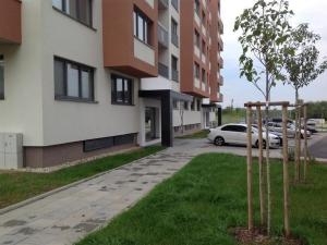 Pronájem bytu 1+kk, Olomouc - Řepčín, Aloise Rašína, 29 m2