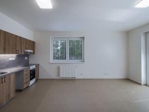 Pronájem bytu 2+kk, Prostějov, Na Lukách, 65 m2