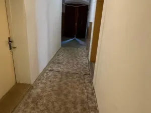 Prodej ubytování, Jiřetín pod Jedlovou - Lesné, 350 m2