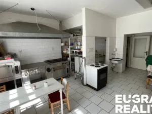 Prodej ubytování, Jiřetín pod Jedlovou - Lesné, 350 m2