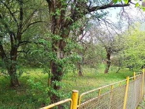 Prodej pozemku pro bydlení, Semčice, 759 m2