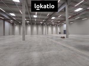Pronájem skladu, Kozomín, 7420 m2