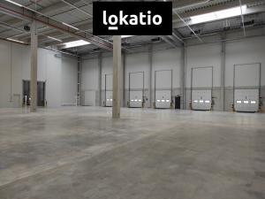 Pronájem skladu, Kozomín, 7420 m2