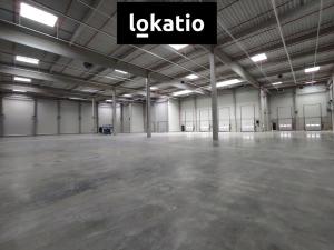 Pronájem skladu, Kozomín, 7420 m2