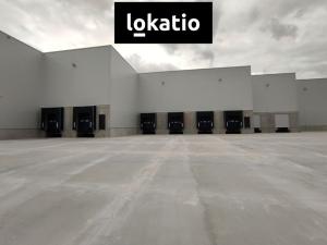 Pronájem skladu, Kozomín, 7420 m2