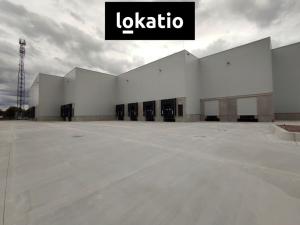 Pronájem skladu, Kozomín, 7420 m2