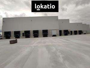 Pronájem skladu, Kozomín, 7420 m2