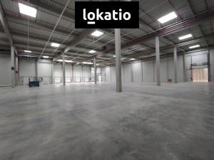 Pronájem skladu, Kozomín, 7420 m2