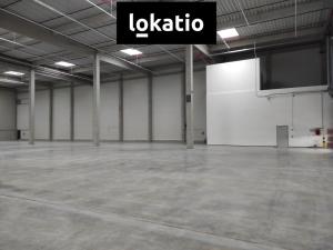 Pronájem skladu, Kozomín, 7420 m2