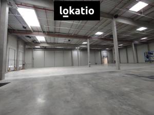 Pronájem skladu, Kozomín, 7420 m2