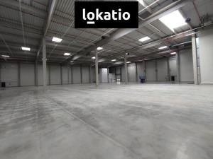 Pronájem skladu, Kozomín, 7420 m2