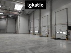 Pronájem skladu, Kozomín, 7420 m2