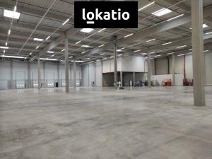 Pronájem skladu, Kozomín, 7420 m2