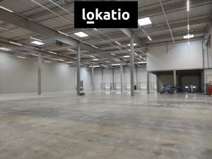 Pronájem skladu, Kozomín, 7420 m2