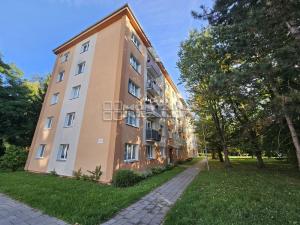 Pronájem bytu 3+1, Olomouc, Kmochova, 61 m2