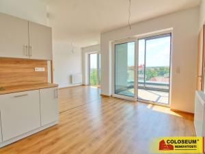 Pronájem bytu 3+kk, Znojmo, Vídeňská třída, 68 m2