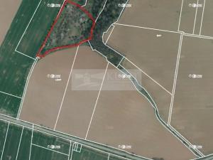 Prodej sadu/vinice, Velké Všelisy - Zamachy, 11900 m2