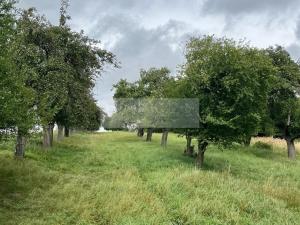 Prodej sadu/vinice, Velké Všelisy - Zamachy, 11900 m2