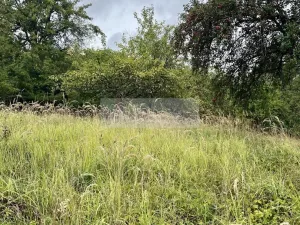Prodej sadu/vinice, Velké Všelisy - Zamachy, 11900 m2