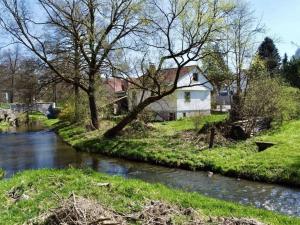 Prodej chalupy, Kamenný Malíkov, 70 m2