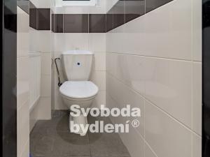 Pronájem obchodního prostoru, Praha - Smíchov, Lidická, 100 m2