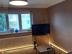 Pronájem bytu 1+1, Frýdek-Místek, U Nemocnice, 39 m2