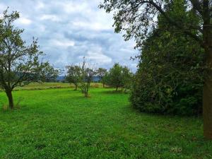 Prodej rodinného domu, Odry - Loučky, 270 m2