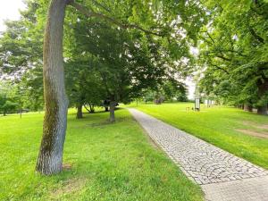 Pronájem bytu 1+kk, Praha - Smíchov, Kobrova, 59 m2