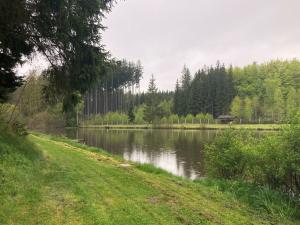 Pronájem rodinného domu, Velká Hleďsebe, 200 m2