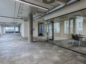 Pronájem kanceláře, Praha - Nové Město, Václavské náměstí, 326 m2