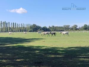 Prodej rodinného domu, Labské Chrčice, 88 m2