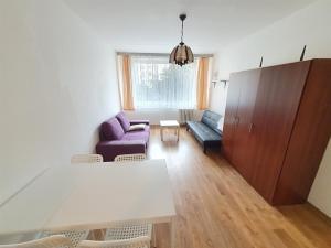 Pronájem bytu 2+kk, Praha - Žižkov, Přemyslovská, 46 m2