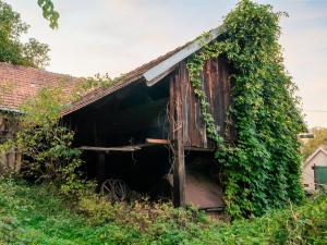 Prodej zemědělské usedlosti, Lešany - Břežany, 300 m2