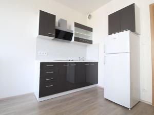 Pronájem bytu 1+kk, Praha - Dolní Měcholupy, Honzíkova, 30 m2