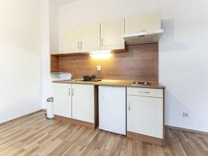 Pronájem bytu 1+kk, Praha - Vinohrady, Dykova, 40 m2